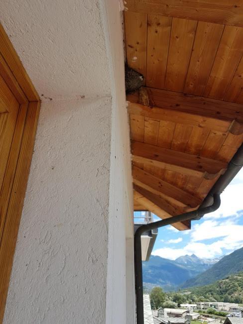 Casa Chanoux Chambave エクステリア 写真